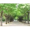 公園