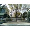 中学校