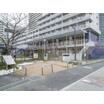 幼稚園、保育園