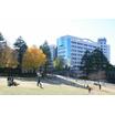 大学