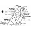 周辺環境