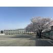 中学校