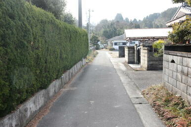 東側道路になります。北側から撮影した写真です。