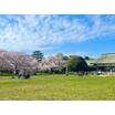公園