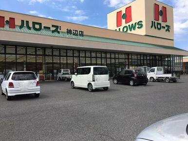 ハローズ 神辺店