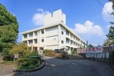 桜山中学校