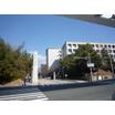 大学