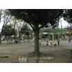 公園
