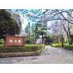公園