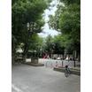公園