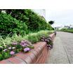 公園