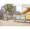 幼稚園、保育園