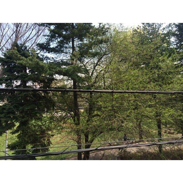 部屋からの眺望　公園がすぐ前