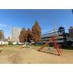 公園