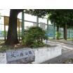 公園