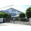 幼稚園、保育園