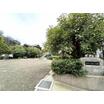 公園