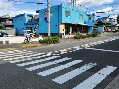 北西から南東外観です。水色の壁面が見印です。