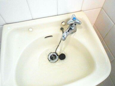 身支度にも便利な洗面台