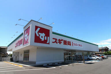 スギドラッグ石仏店