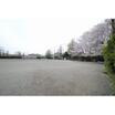 公園