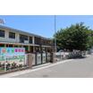 幼稚園、保育園