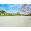 公園