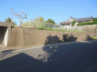 道路から