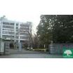 大学