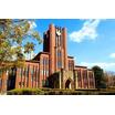 大学