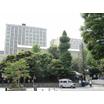 大学