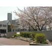 中学校