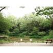 公園