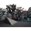 公園