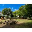 公園