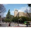 大学
