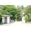 大学