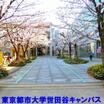 大学