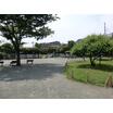 公園