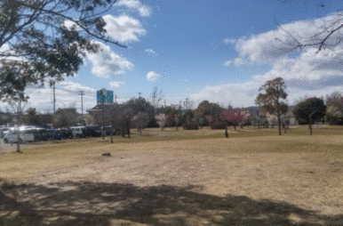 中田中央公園運動広場