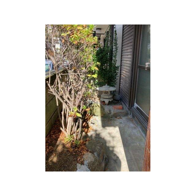 たまにはお庭で休日を過ごしてみるのもよいかもしれません