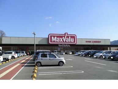 マックスバリュー大池店様