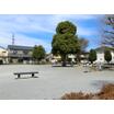 公園