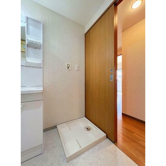 参考写真