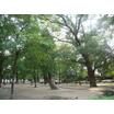 公園