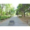 公園