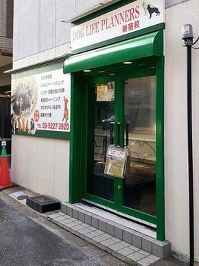 ドッグライフプランナーズ新宿校