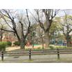 公園