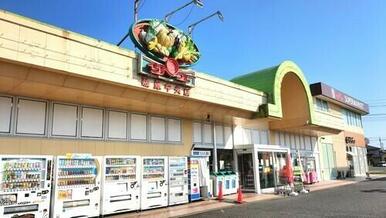 サンユーストアー磯原中央店