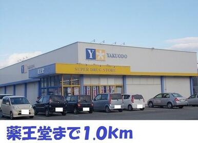 薬王堂北上黒沢尻店